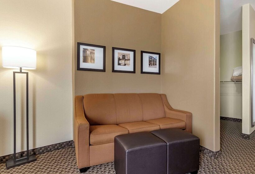 جناح, Comfort Suites Medical Center Near Six Flags