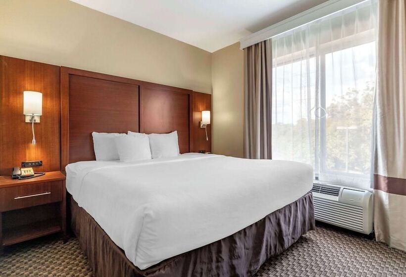 套房, Comfort Suites Medical Center Near Six Flags