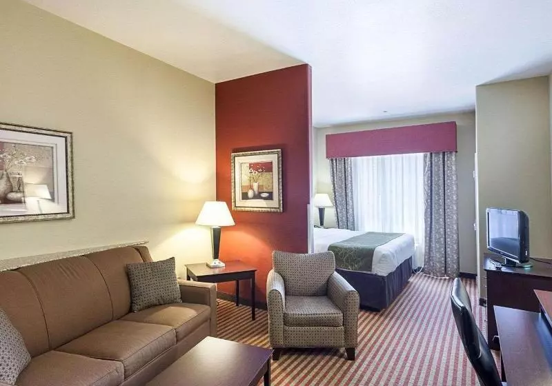 キングサイズベッドのスイートルーム, Comfort Suites Medical Center Near Six Flags