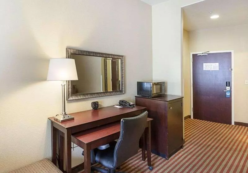 キングサイズベッドのスイートルーム, Comfort Suites Medical Center Near Six Flags