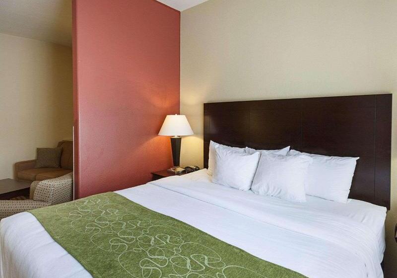 جناح سرير كينج, Comfort Suites Medical Center Near Six Flags