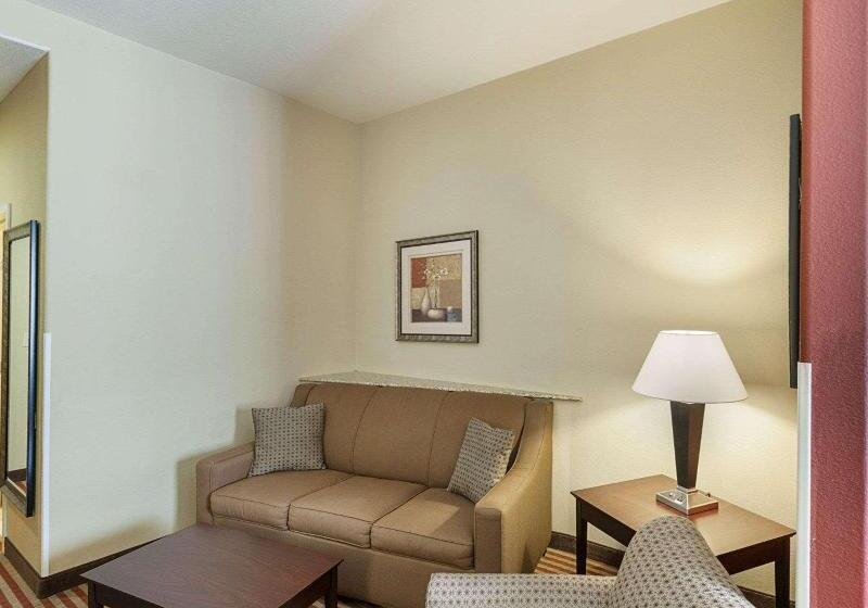 جناح سرير كينج, Comfort Suites Medical Center Near Six Flags