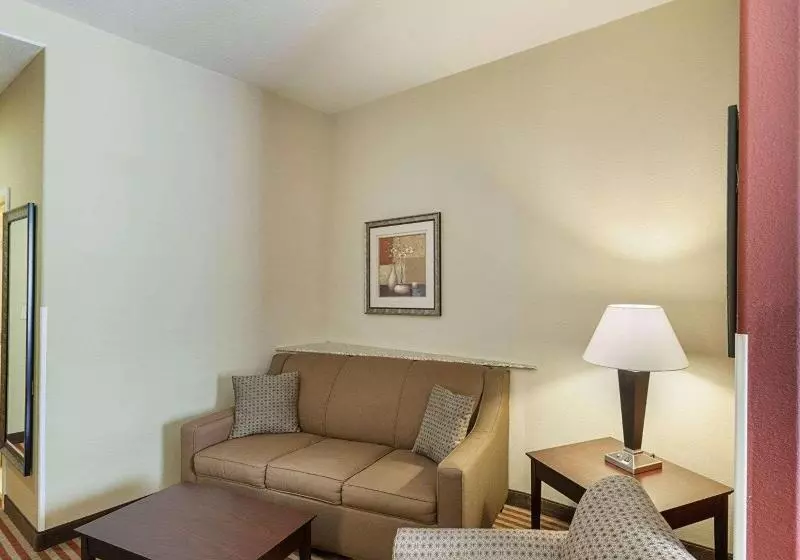 キングサイズベッドのスイートルーム, Comfort Suites Medical Center Near Six Flags