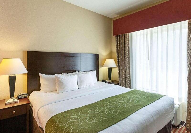 带大床的套房, Comfort Suites Medical Center Near Six Flags