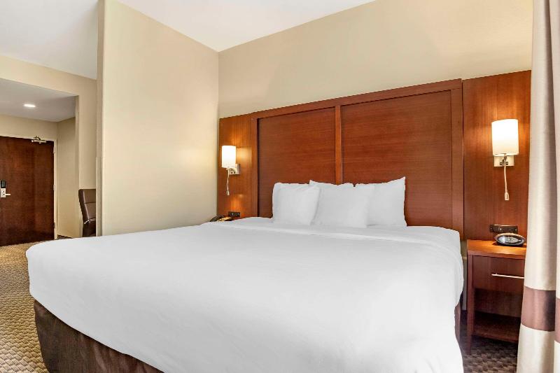 جناح سرير كينج, Comfort Suites Medical Center Near Six Flags