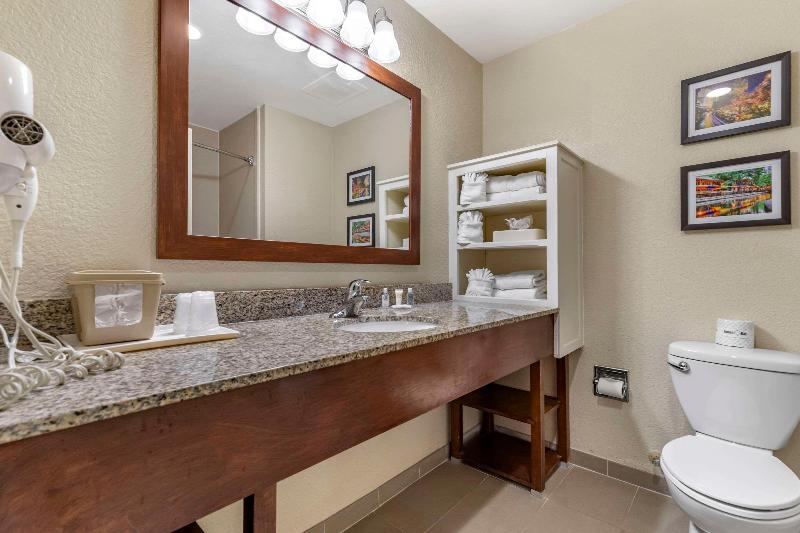带大床的套房, Comfort Suites Medical Center Near Six Flags
