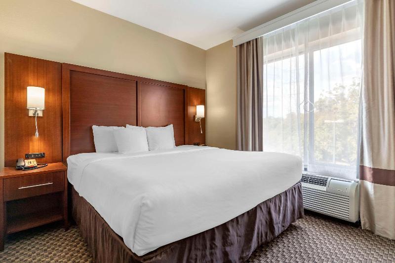 جناح سرير كينج, Comfort Suites Medical Center Near Six Flags