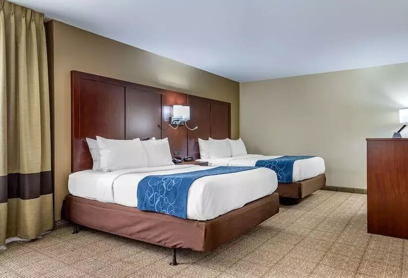 スイート, Comfort Suites Savannah Gateway I95