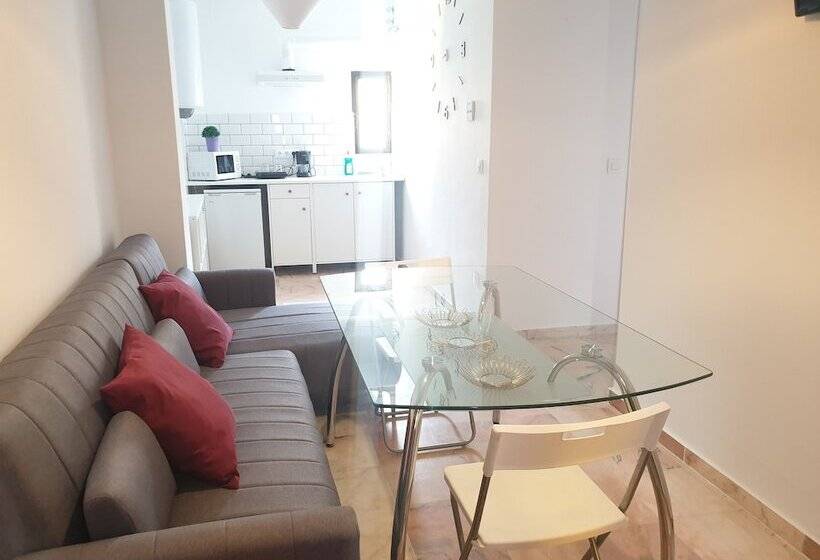 آپارتمان سوپریور 1 خوابه, Y Apartamentos Doña Lola