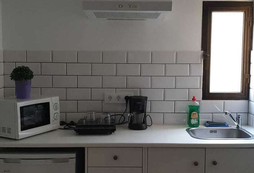 آپارتمان سوپریور 1 خوابه, Y Apartamentos Doña Lola