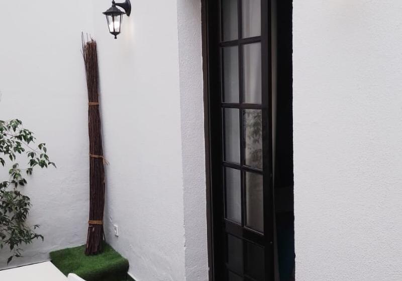 آپارتمان سوپریور 1 خوابه, Y Apartamentos Doña Lola