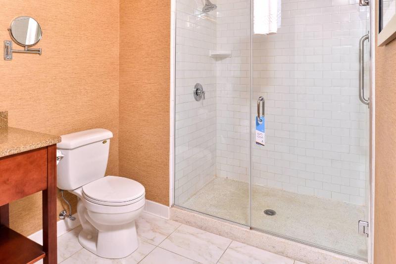 스탠다드 룸 킹사이즈 침대, Fairfield Inn & Suites By Marriott Albany Downtown