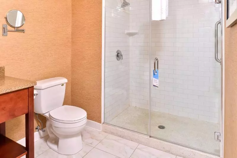اتاق استاندارد با تخت بزرگ, Fairfield Inn & Suites By Marriott Albany Downtown