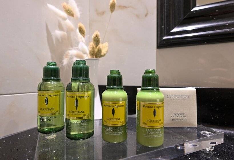 غرفة سوبيريور, Grand Hotel Casselbergh