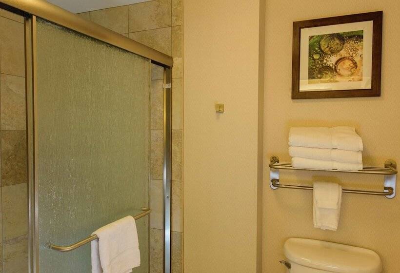 Студия Стандарт, Homewood Suites By Hilton Phoenix Chandler/fashion Center