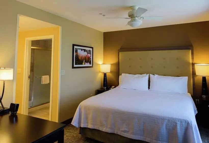 スタンダードスタジオ, Homewood Suites By Hilton Phoenix Chandler/fashion Center