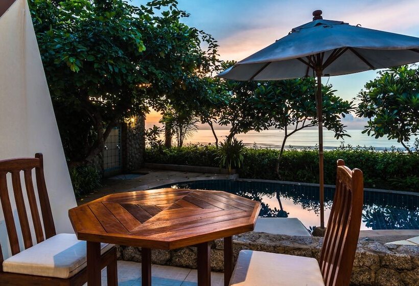 Номер Премиум, Layalina