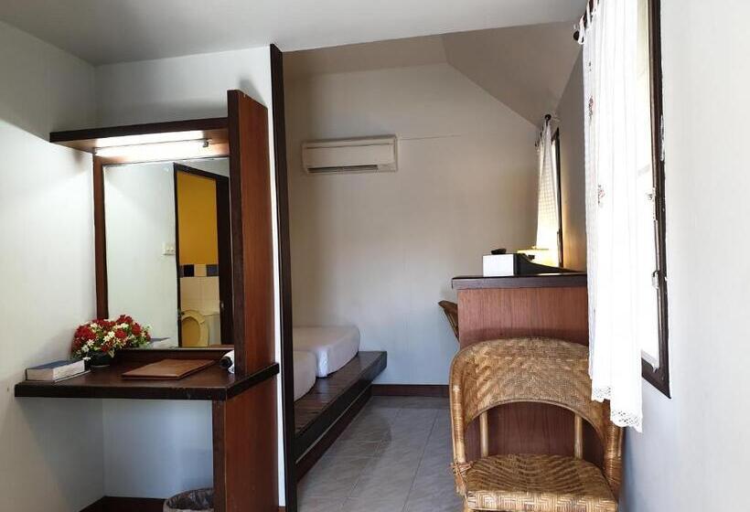 بنجلو قياسى, P.p. Casita   Adult Only