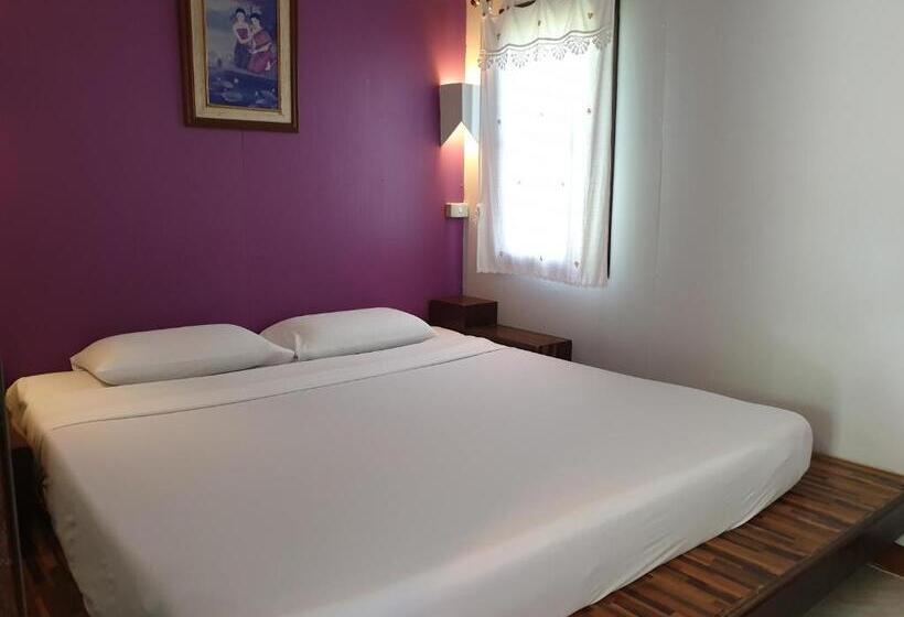 بنجلو قياسى, P.p. Casita   Adult Only