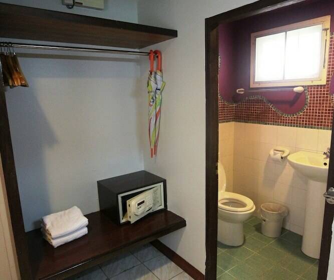 بنجلو قياسى, P.p. Casita   Adult Only