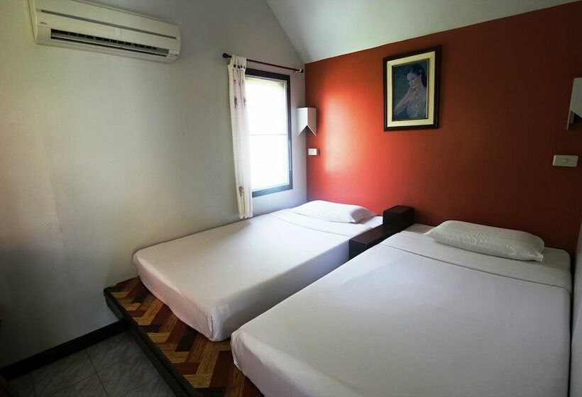 بنجلو قياسى, P.p. Casita   Adult Only