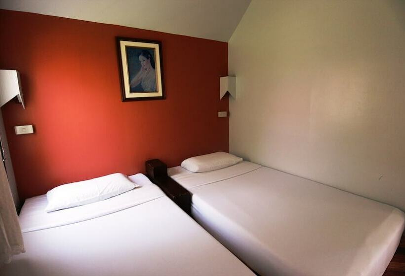 بنجلو قياسى, P.p. Casita   Adult Only