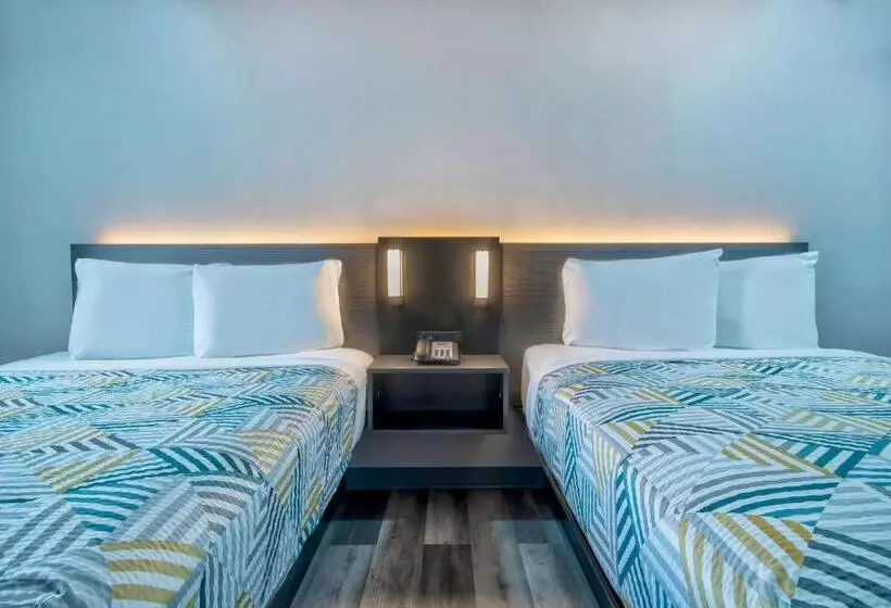 スタンダード４人部屋, Motel 6 Texarkana, Tx