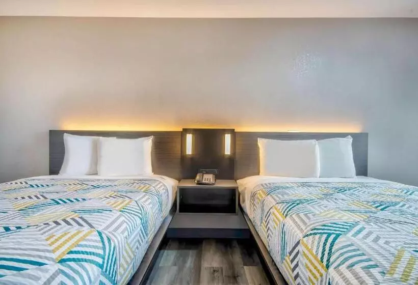 デラックスの４人部屋, Motel 6 Texarkana, Tx