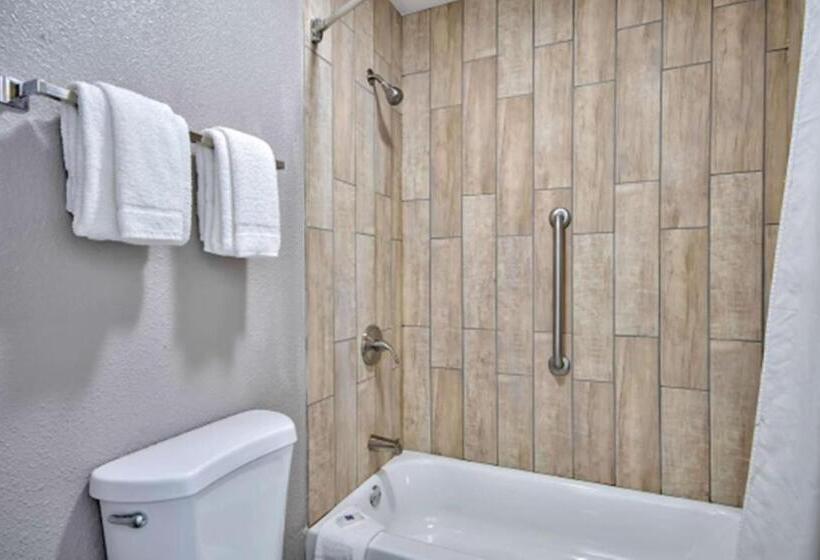 חדר סטנדרט, מיטת קינג, מותאם לאדם עם מוגבלויות, Motel 6 Texarkana, Tx