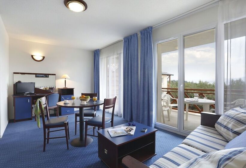 استودیوی استاندارد, Vacanceole  Appart Vacances Pyrenees 2000