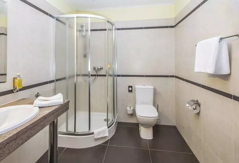 デラックスルーム, Business Hotel Vega Wrocław