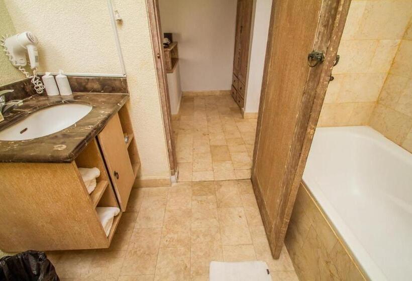 디럭스 룸, Abian Biu Mansion