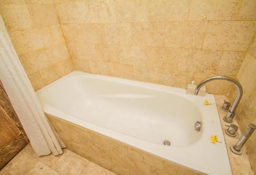 디럭스 룸, Abian Biu Mansion