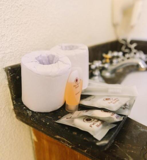 수피리어 룸, Abian Biu Mansion