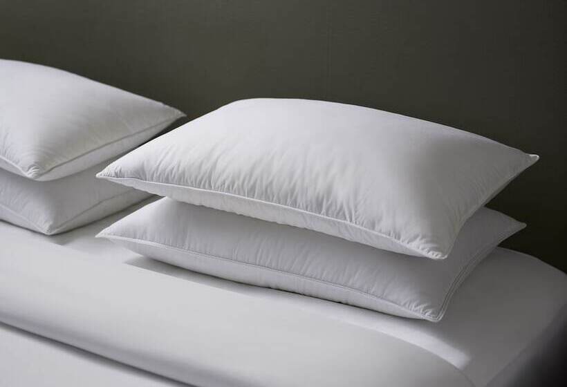 اتاق کلاب, Hyatt Regency Hong Kong, Tsim Sha Tsui