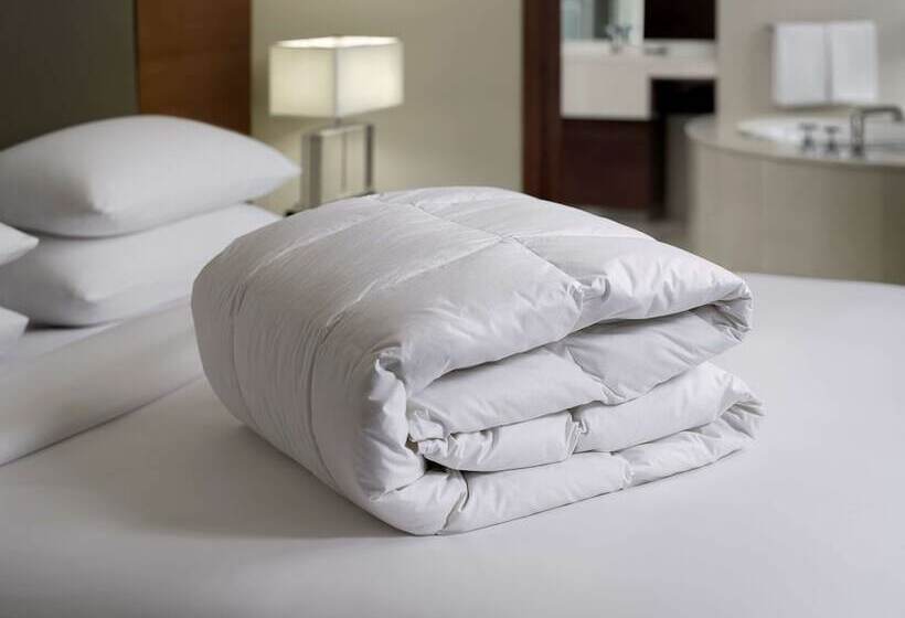 اتاق کلاب, Hyatt Regency Hong Kong, Tsim Sha Tsui