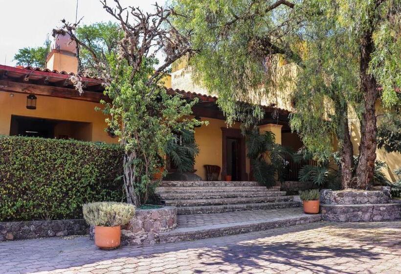 주니어 스위트, Mirador Del Frayle