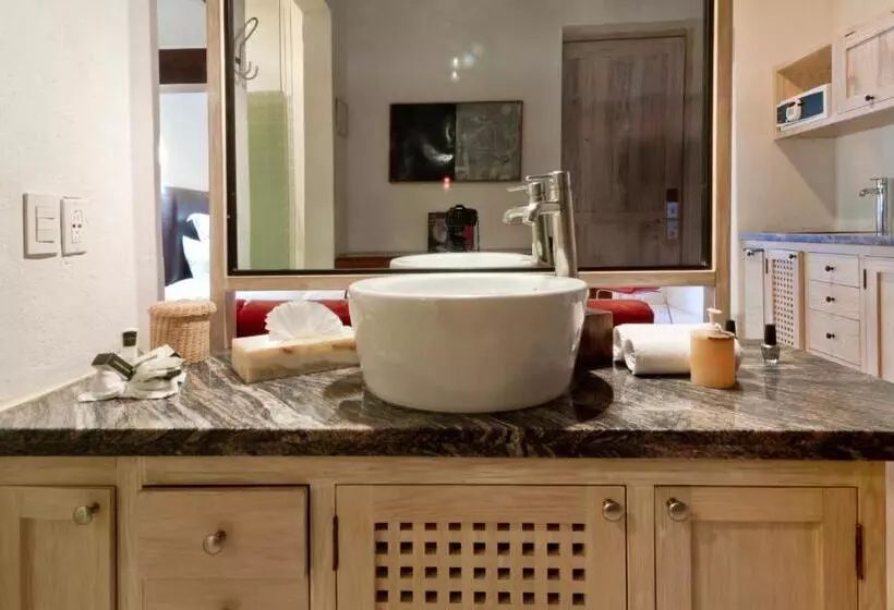 سوییت جونیور, & Spa Dona Urraca San Miguel De Allende