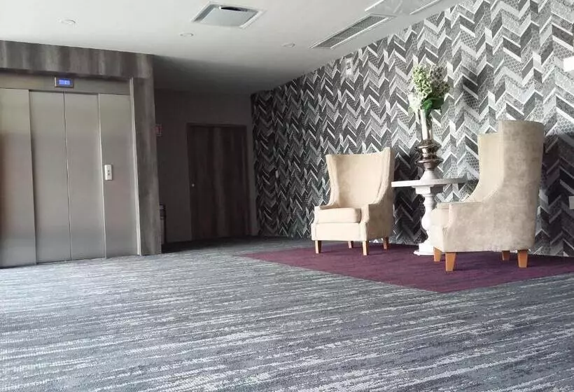 سوییت اجرایی, Wyndham Garden Aguascalientes Hotel & Casino