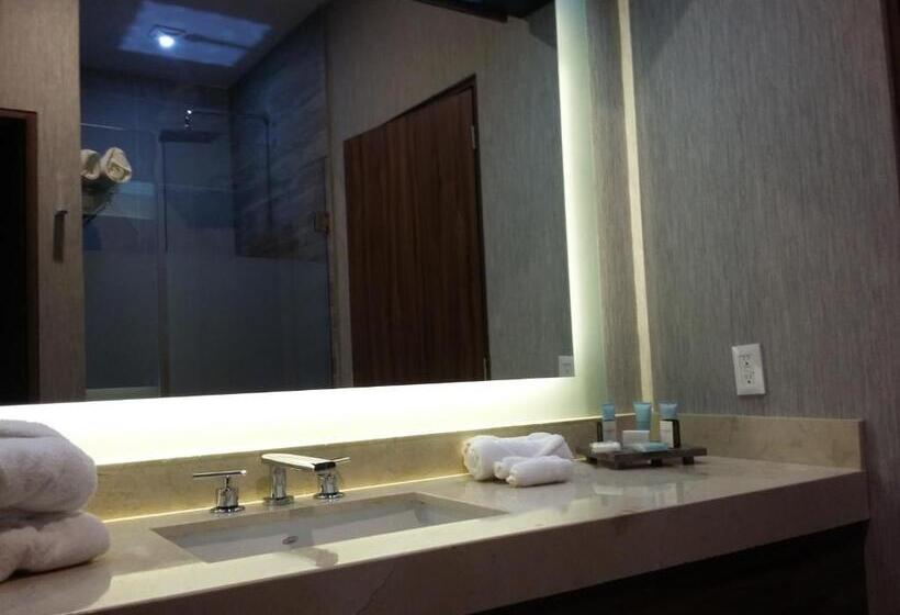 سوییت اجرایی, Wyndham Garden Aguascalientes Hotel & Casino