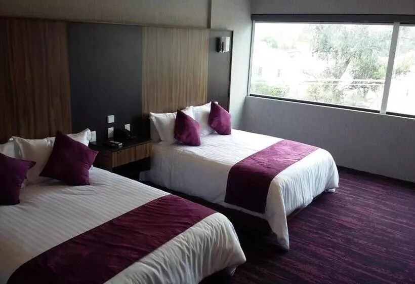 سوییت اجرایی, Wyndham Garden Aguascalientes Hotel & Casino