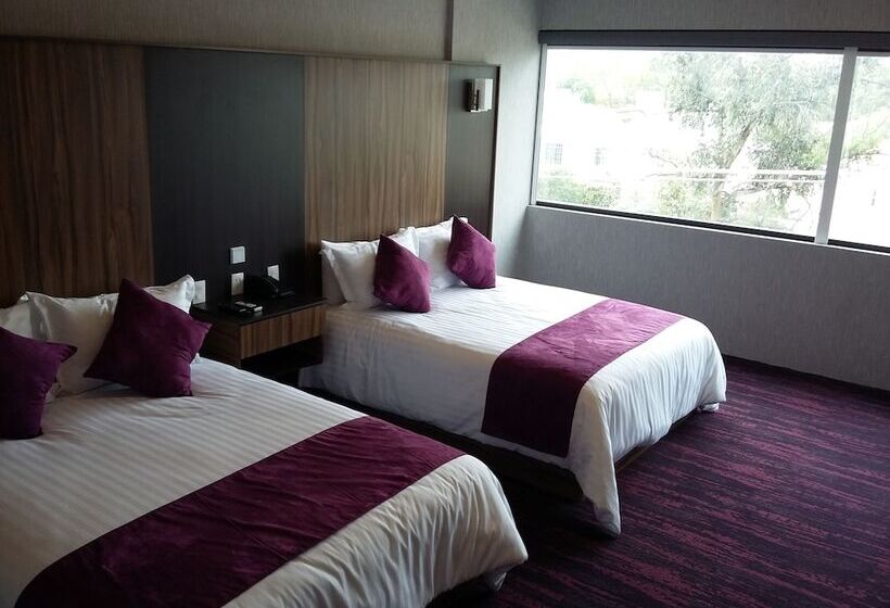 سوییت, Wyndham Garden Aguascalientes Hotel & Casino