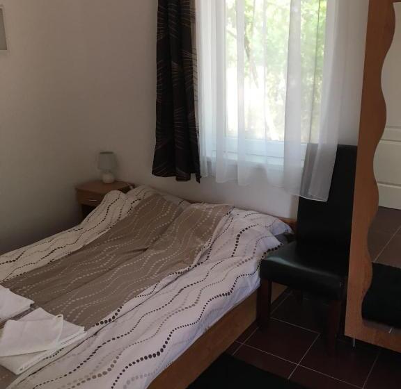 스탠다드 테라스 룸, Bor Vendégház