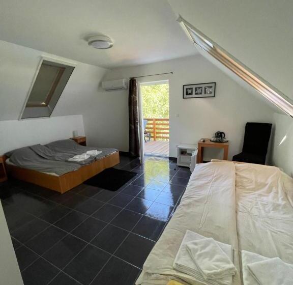 스탠다드 테라스 룸, Bor Vendégház