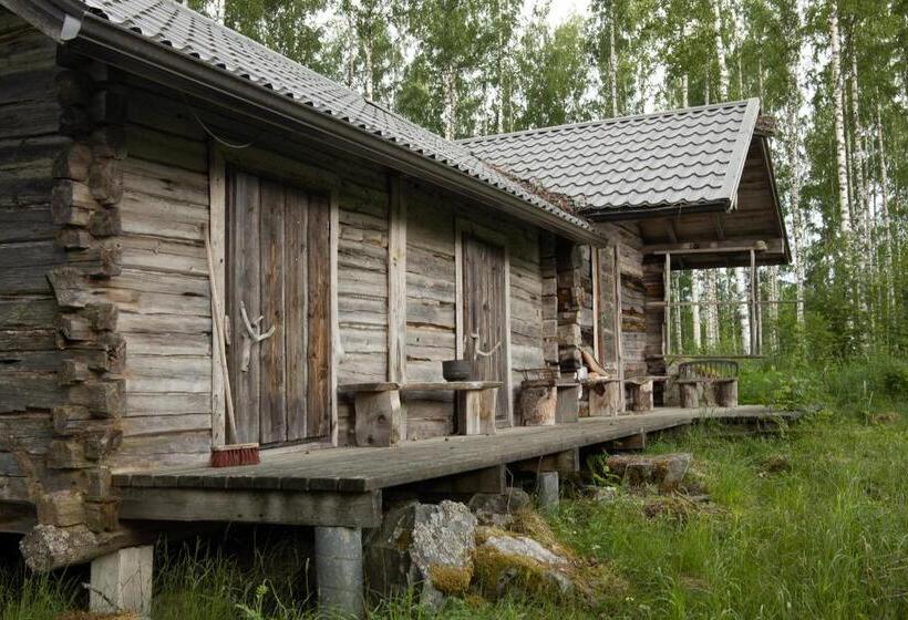 غرفة إقتصادية, Tarina Aho