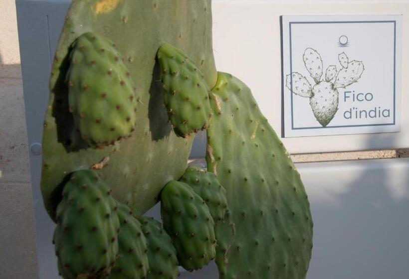 标准工作室, Livantea Agriresort E Residence