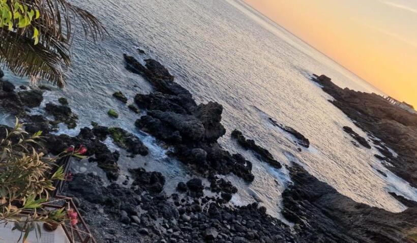 اتاق استاندارد, Cactus Guest House