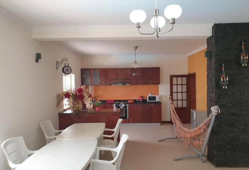 اتاق استاندارد با سرویس بهداشتی مشترک, Cactus Guest House