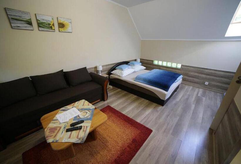 Апартаменты 1 Спальня с Видом, Fónagy Apartmanok