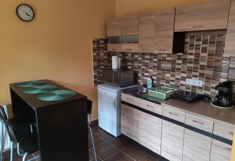 침실 1개 테라스 아파트, Fónagy Apartmanok